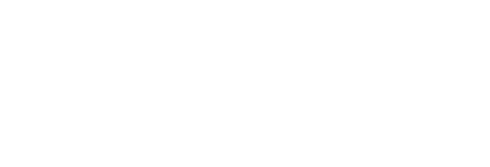 Techno Airlines
